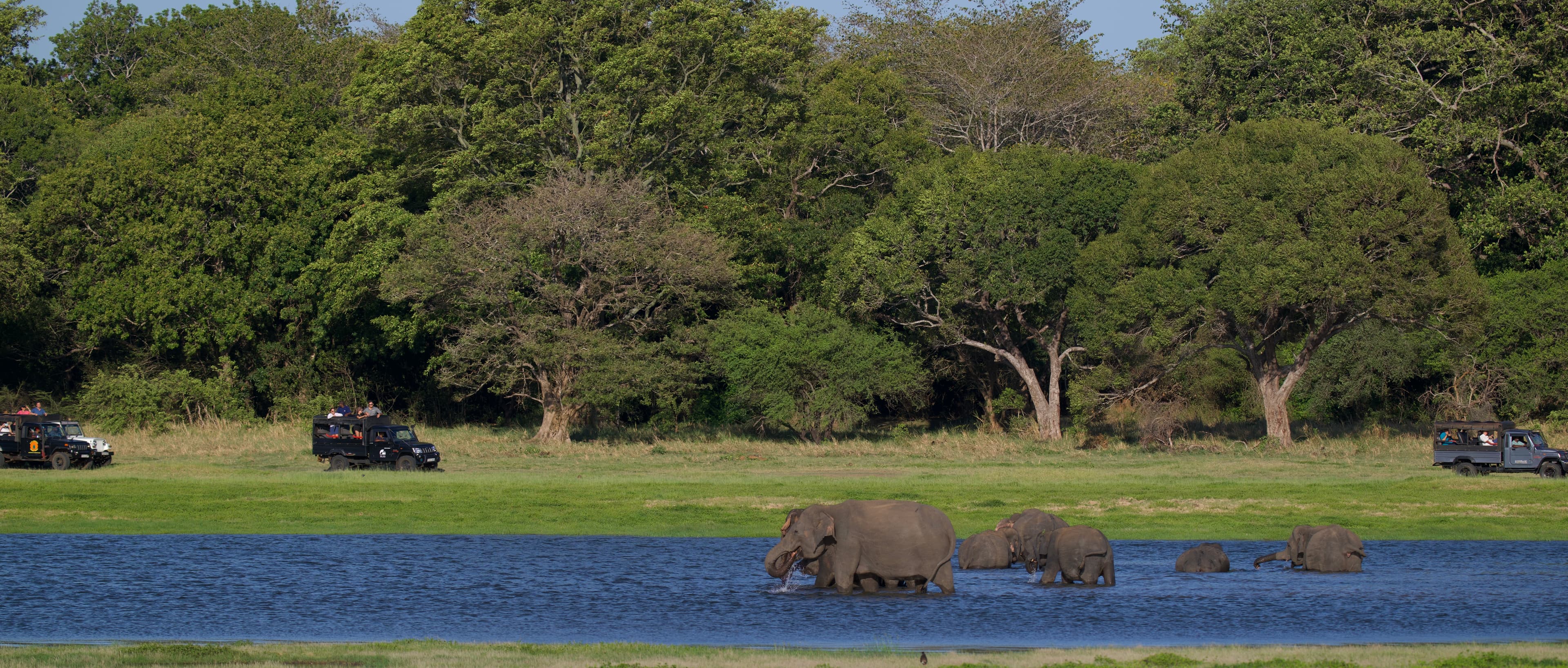 Wildlife photography tours
