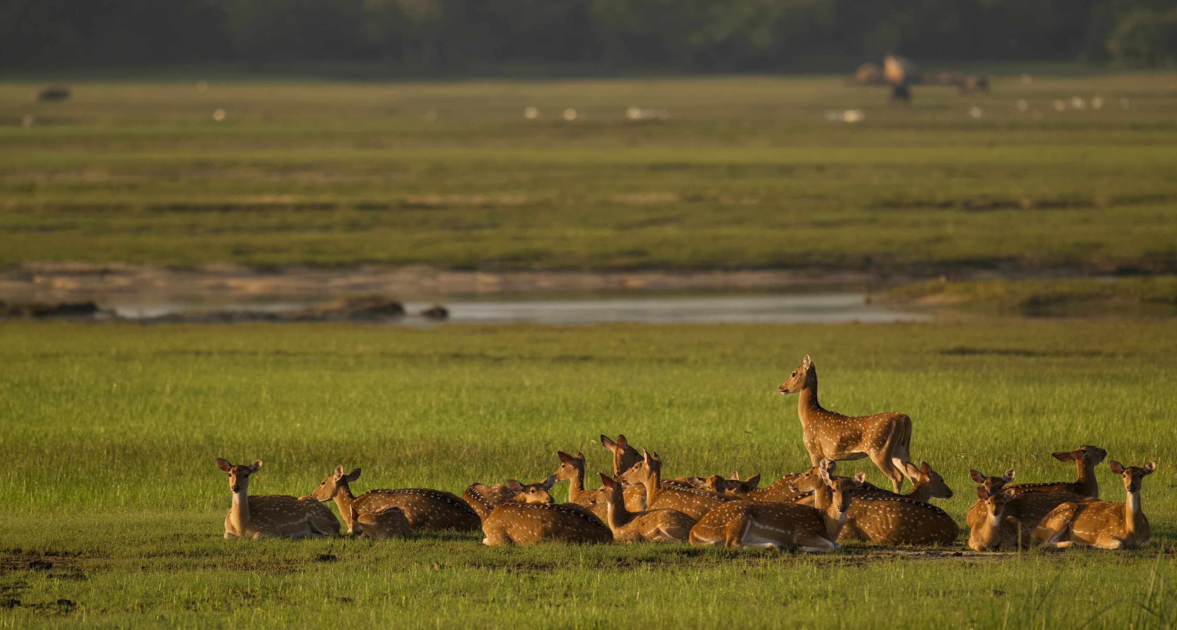 KUMANA NATIONAL PARK
