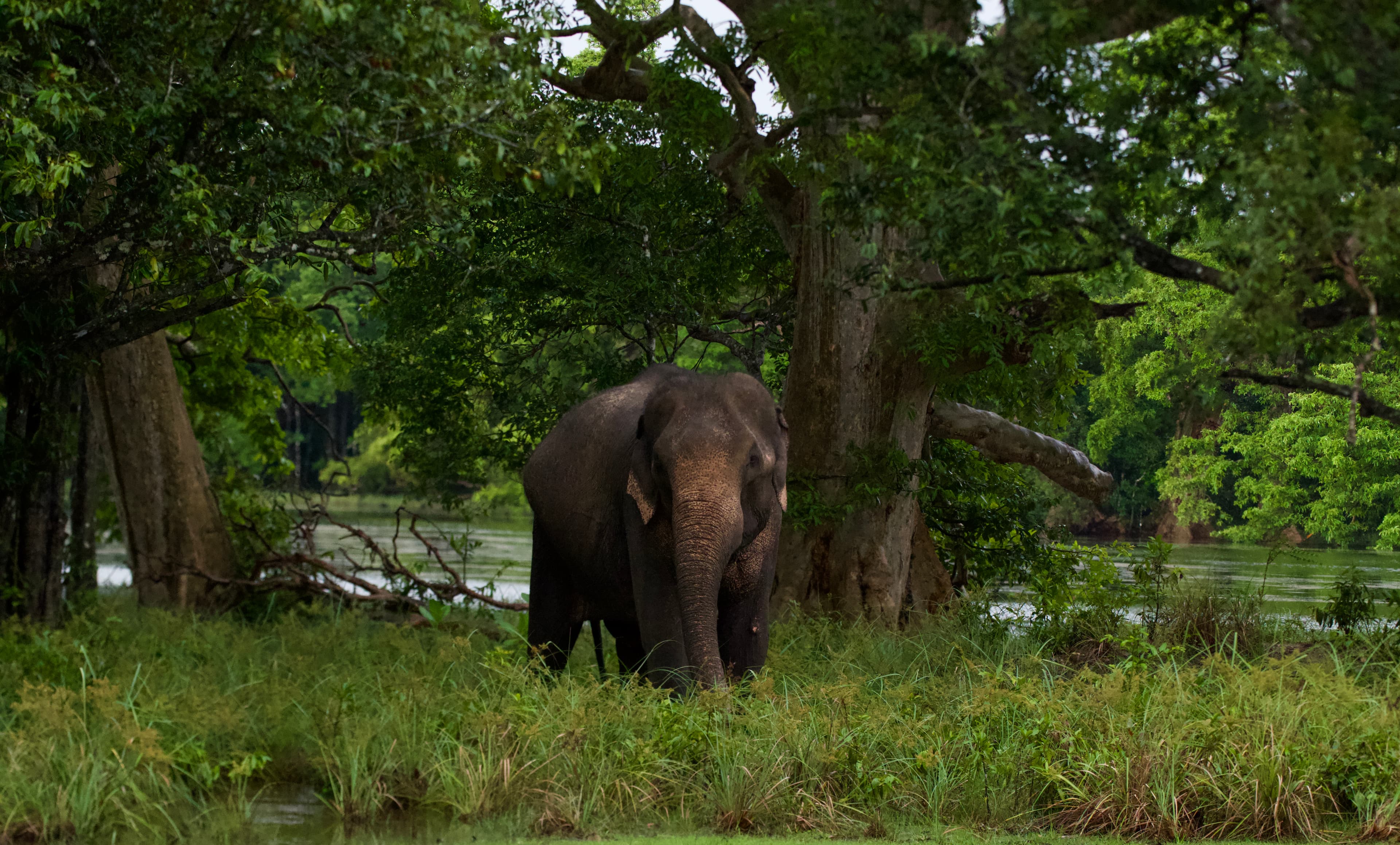 WILPATTU NATIONAL PARK - 2