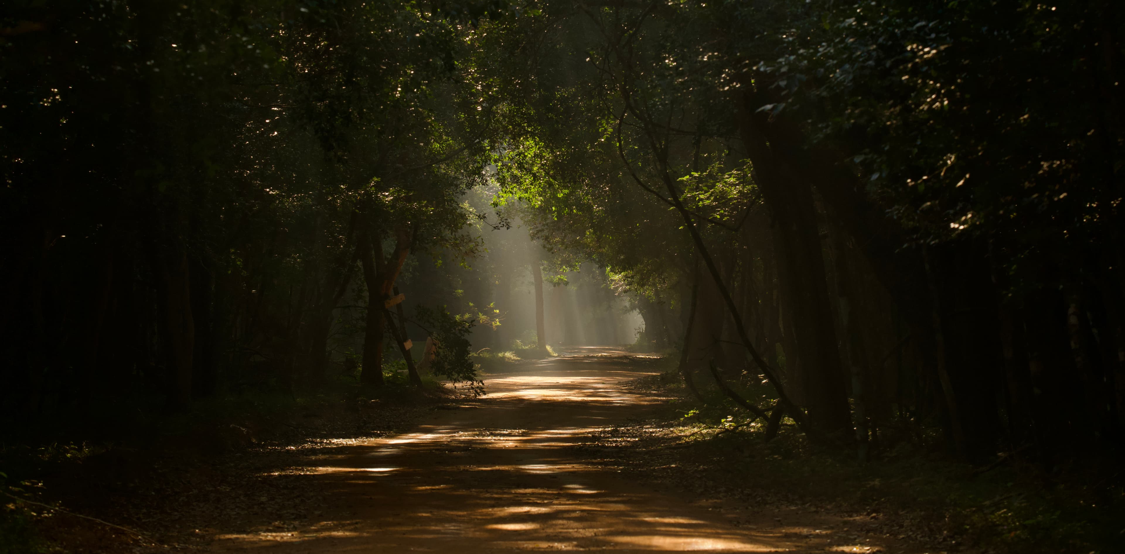 WILPATTU NATIONAL PARK