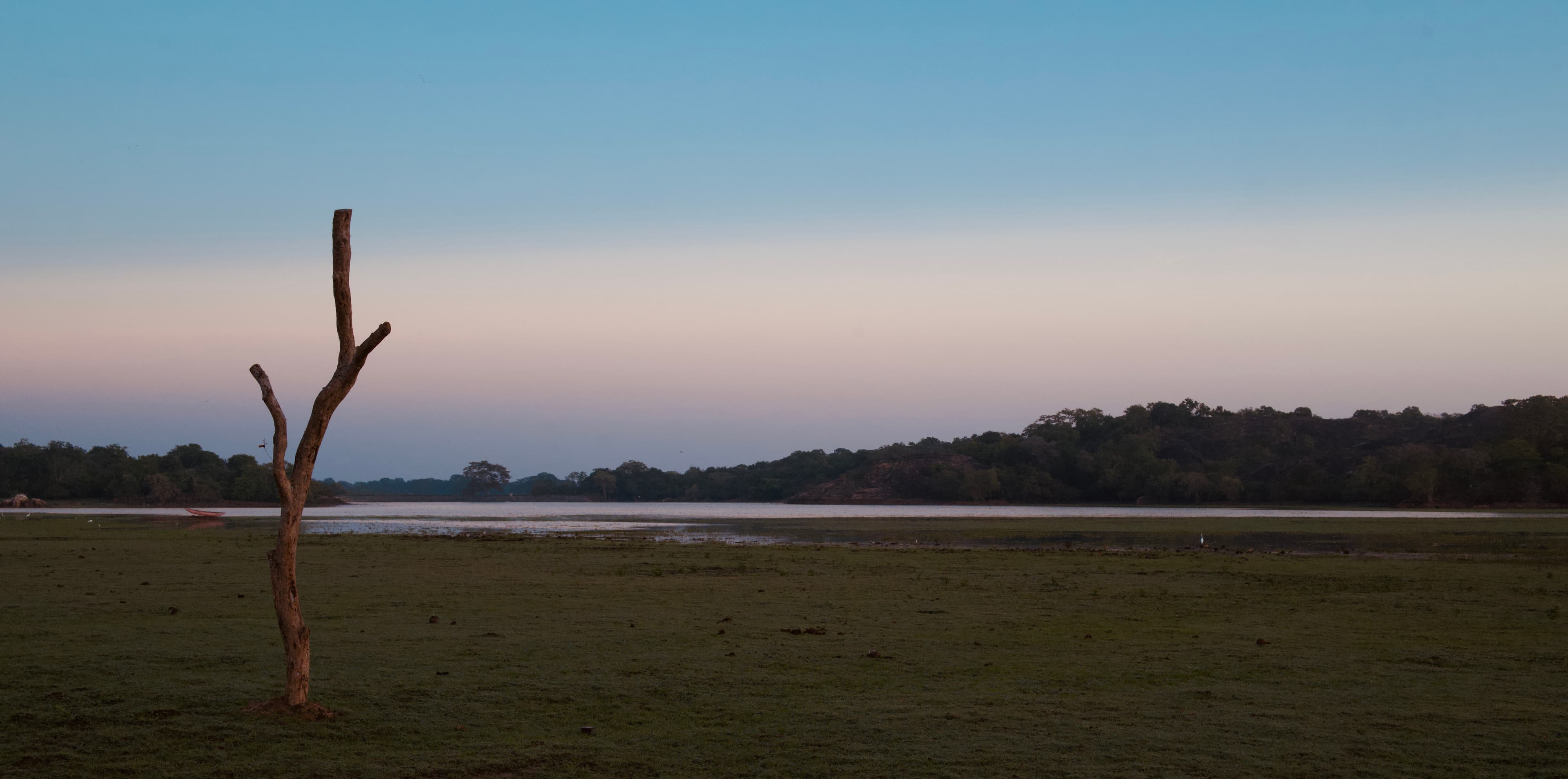 Wildlife photography tours