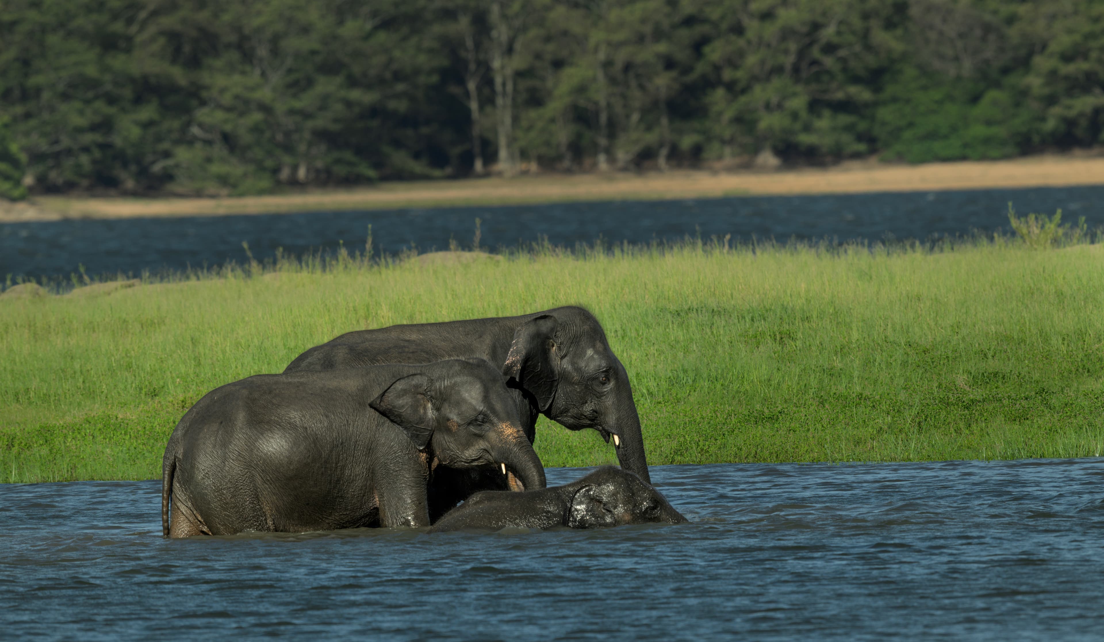 MINNERIYA – KAUDULLA - 6